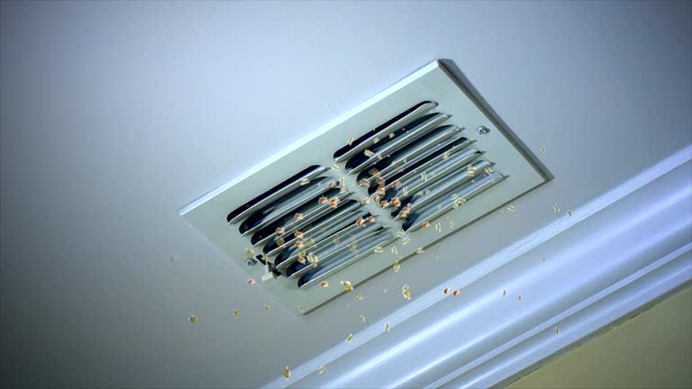 Best Home Air Vent Cleaning  in Pahoa, HI